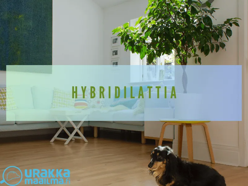 Hybridilattian edut ja hyödyt – miksi valita hybridilattia kodin lattiapintamateriaaliksi?