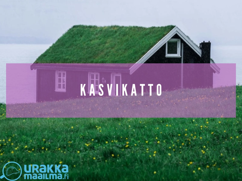 Kasvikatto