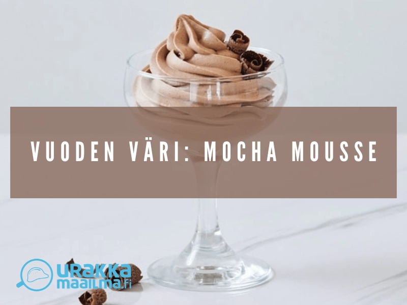 vuoden 2025 väri mocha mousse